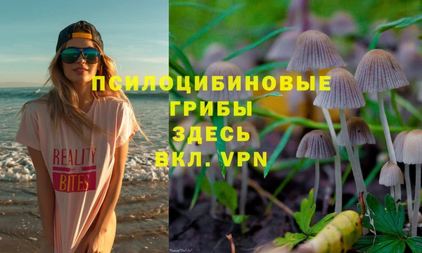 ешки Алзамай